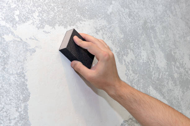 Best Industrial Mold Remediation  in Kelso, WA