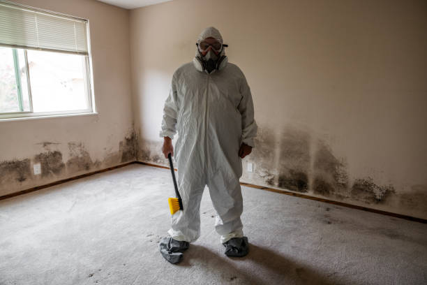 Best Commercial Mold Inspection  in Kelso, WA