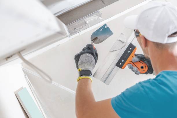 Best Mold Documentation for Insurance Claims  in Kelso, WA